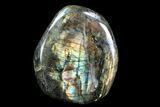 Lot: Lbs Free-Standing Polished Labradorite - Pieces #77649-4